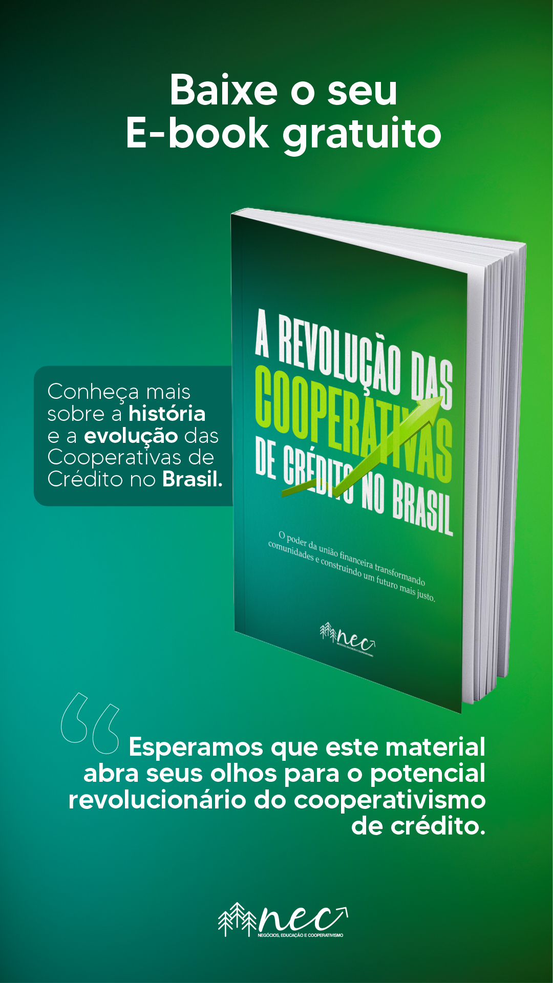Capa do eBook